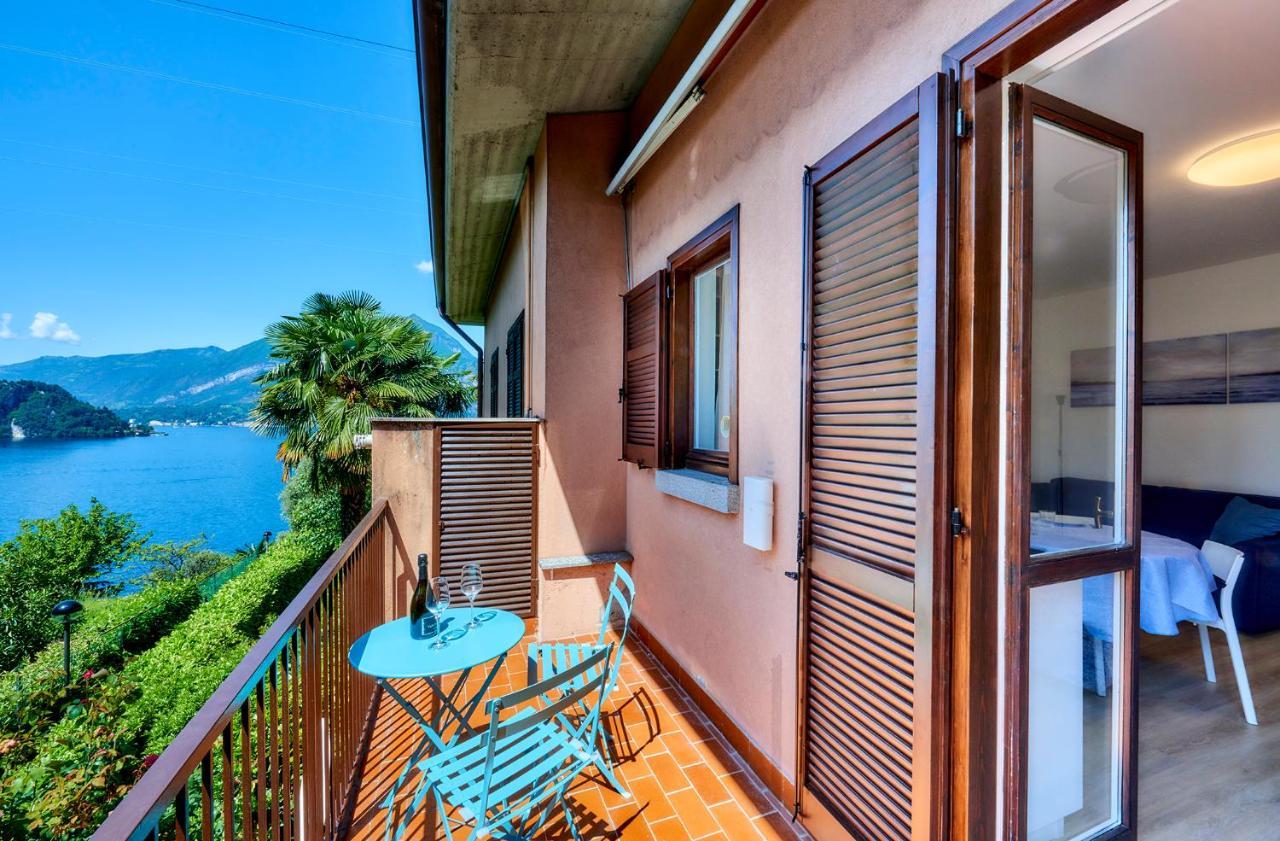 Pinus Apartamento